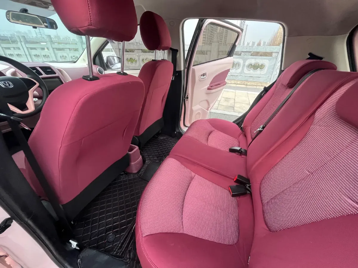 2021 ChangAn BenBen E-Star BEV 31.95KWH,autocango,china used car exporter,china ev exporter,chinese used car exporter,chinese used ev exporter