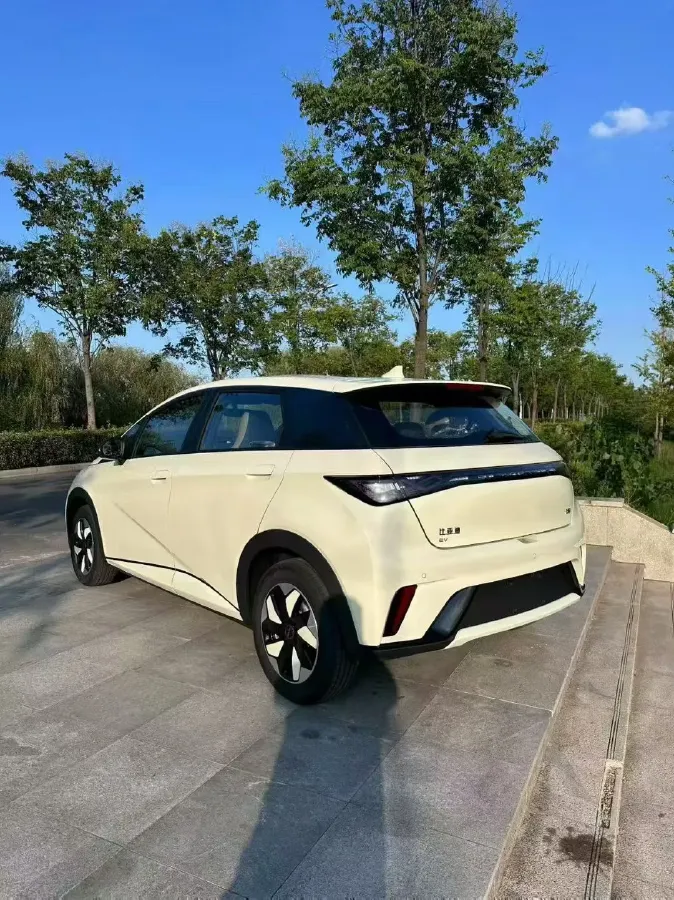 2025 BYD Dolphin BEV 44.928KWH,autocango,china used car exporter,china ev exporter,chinese used car exporter,chinese used ev exporter