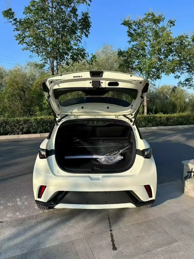 2025 BYD Dolphin BEV 44.928KWH,autocango,china used car exporter,china ev exporter,chinese used car exporter,chinese used ev exporter