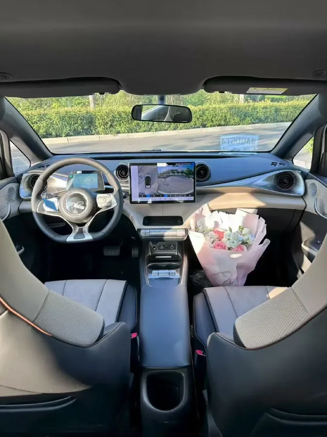 2025 BYD Dolphin BEV 44.928KWH,autocango,china used car exporter,china ev exporter,chinese used car exporter,chinese used ev exporter