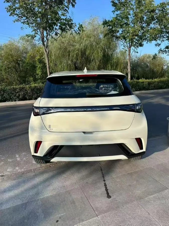 2025 BYD Dolphin BEV 44.928KWH,autocango,china used car exporter,china ev exporter,chinese used car exporter,chinese used ev exporter