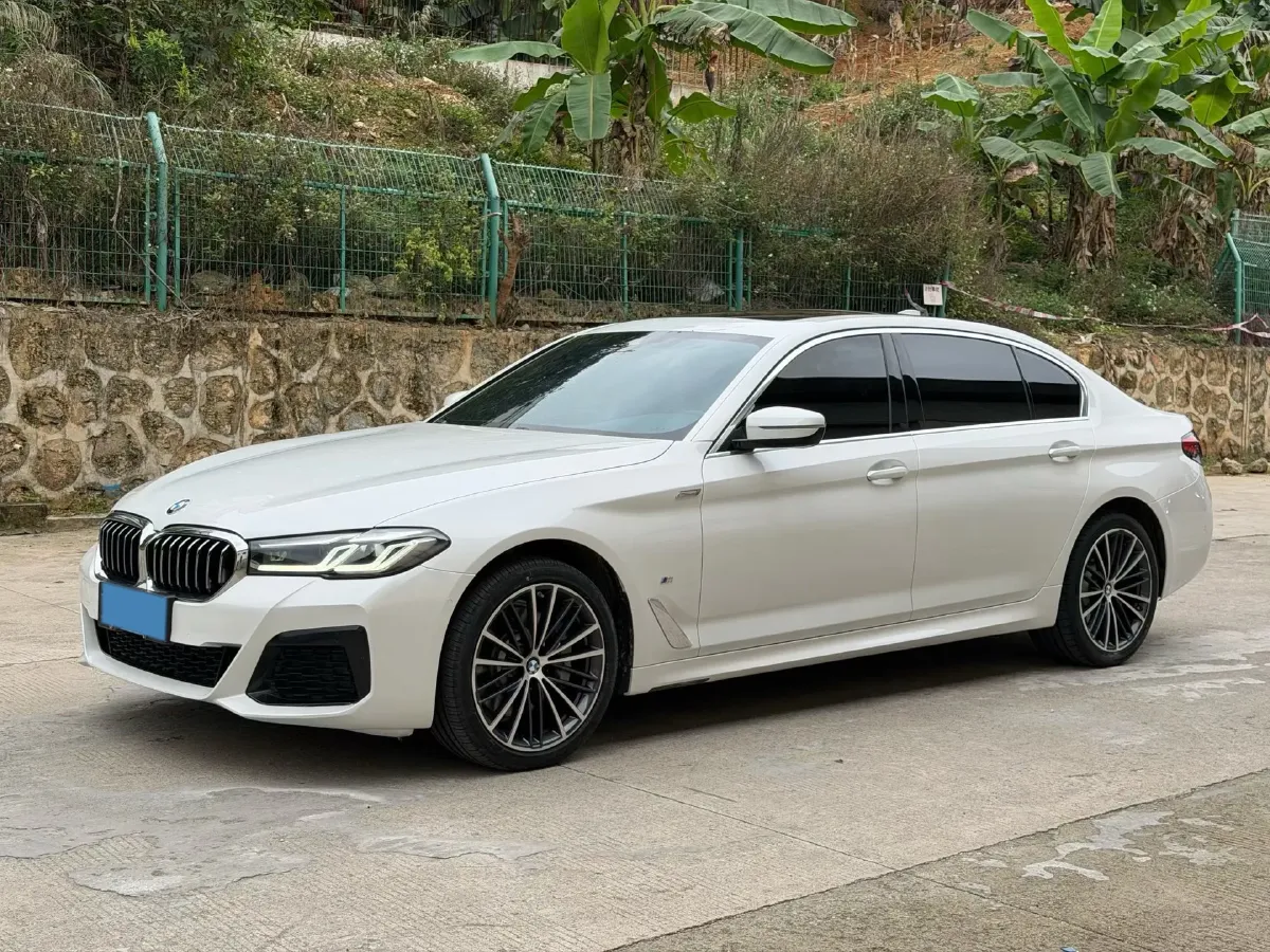 2021 BMW 5 Series 2.0T 252HP L4 8AT,autocango,china used car exporter,china ev exporter,chinese used car exporter,chinese used ev exporter