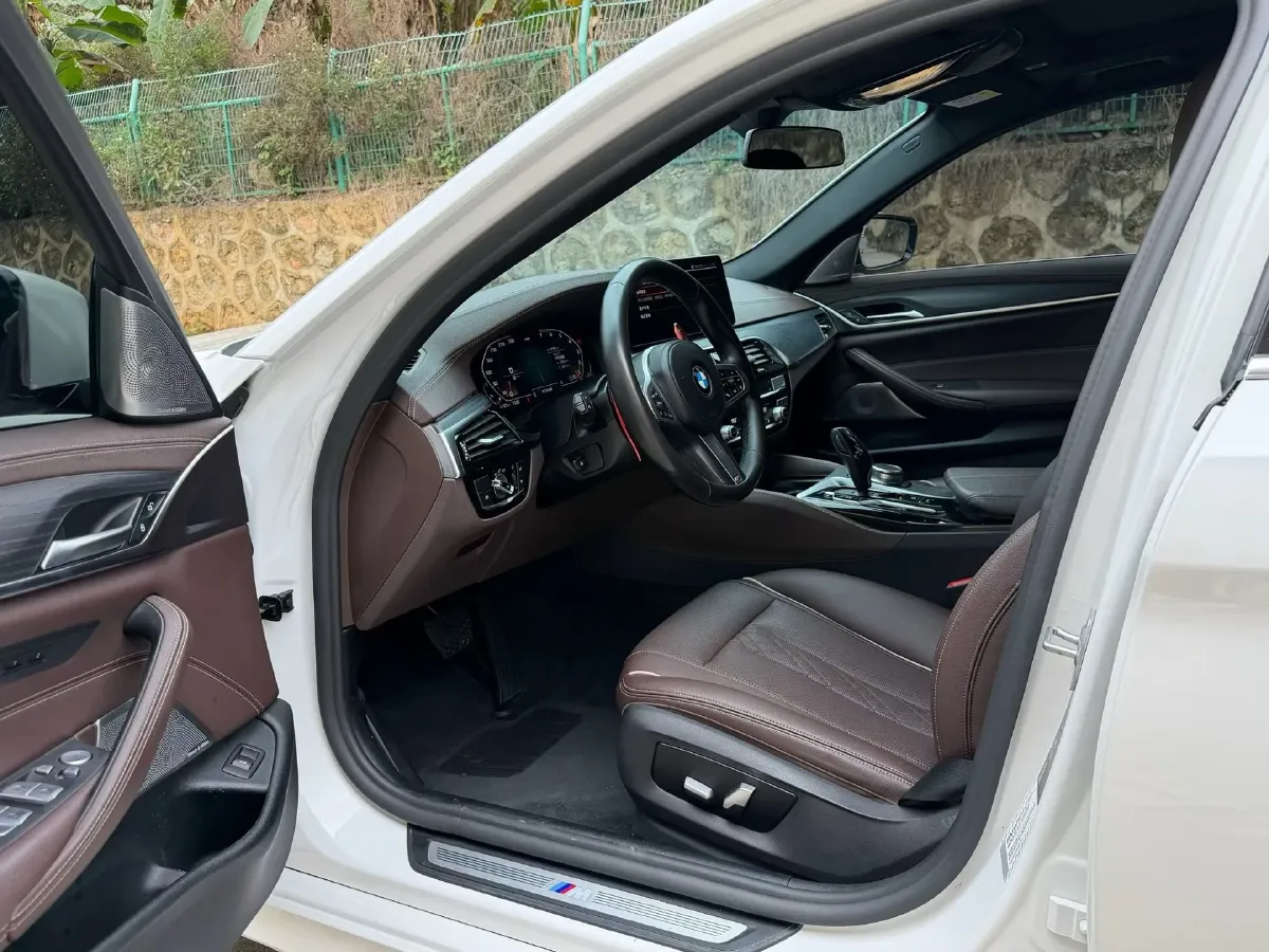 2021 BMW 5 Series 2.0T 252HP L4 8AT,autocango,china used car exporter,china ev exporter,chinese used car exporter,chinese used ev exporter