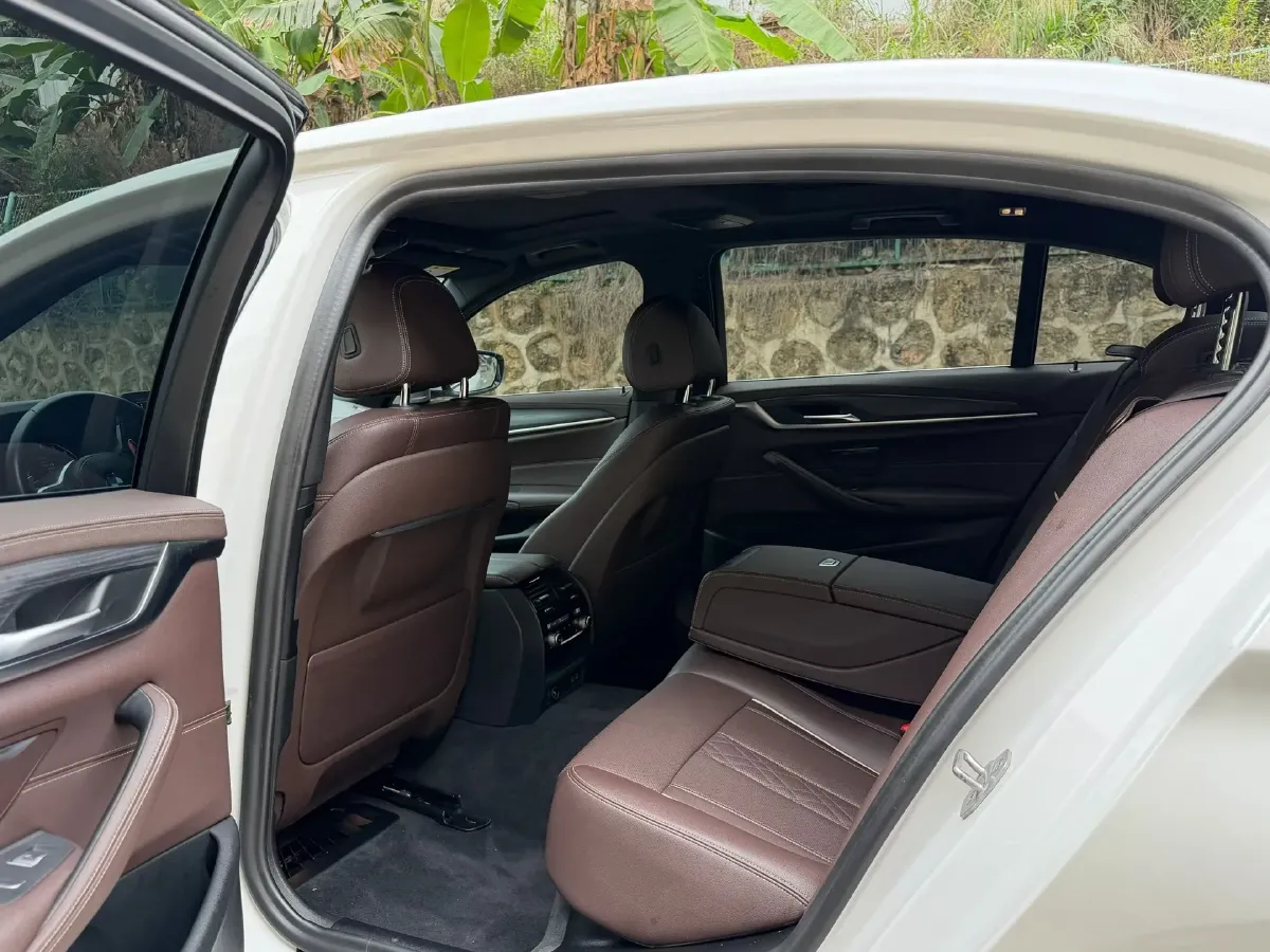 2021 BMW 5 Series 2.0T 252HP L4 8AT,autocango,china used car exporter,china ev exporter,chinese used car exporter,chinese used ev exporter