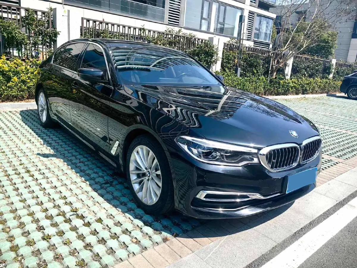 2020 BMW 5 Series 2.0T 252HP L4 8AT,autocango,china used car exporter,china ev exporter,chinese used car exporter,chinese used ev exporter