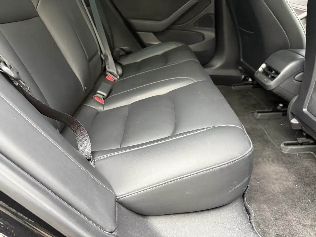 2020 Tesla Model 3 BEV 55KWH,autocango,china used car exporter,china ev exporter,chinese used car exporter,chinese used ev exporter