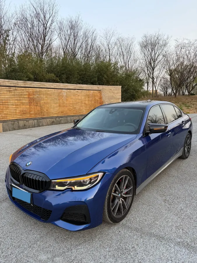 2020 BMW 3 Series 2.0T 184HP L4 8AT,autocango,china used car exporter,china ev exporter,chinese used car exporter,chinese used ev exporter