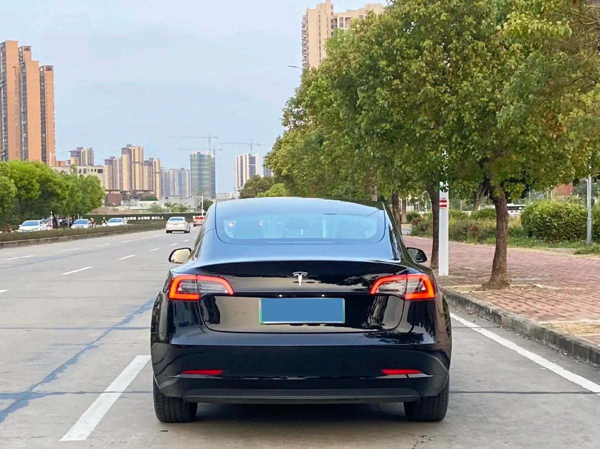 2021 Tesla Model 3 BEV 55KWH,autocango,china used car exporter,china ev exporter,chinese used car exporter,chinese used ev exporter