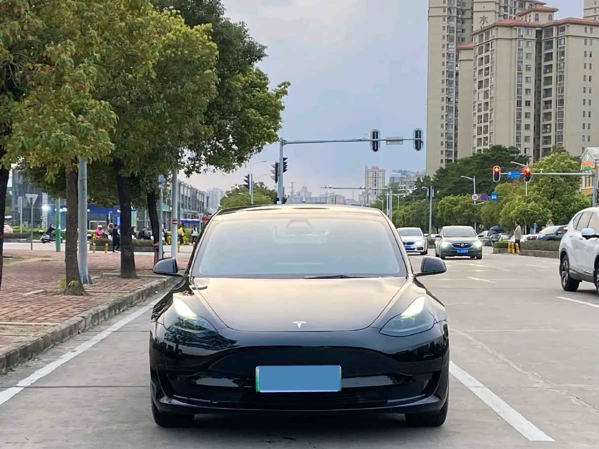 2021 Tesla Model 3 BEV 55KWH,autocango,china used car exporter,china ev exporter,chinese used car exporter,chinese used ev exporter