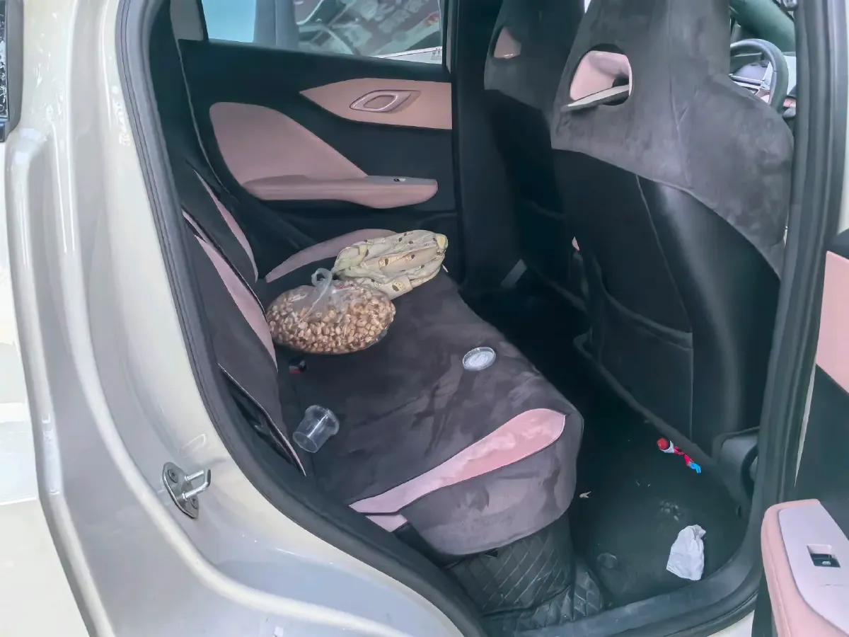 2025 BYD Seagull BEV 30.08KWH,autocango,china used car exporter,china ev exporter,chinese used car exporter,chinese used ev exporter