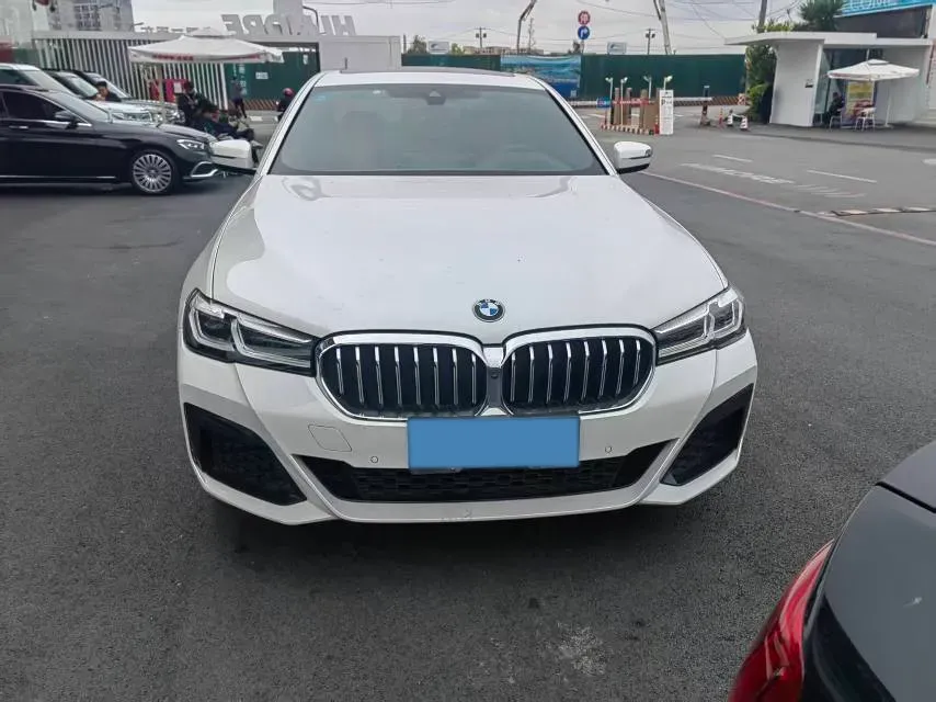 2021 BMW 5 Series 2.0T 252HP L4 8AT,autocango,china used car exporter,china ev exporter,chinese used car exporter,chinese used ev exporter
