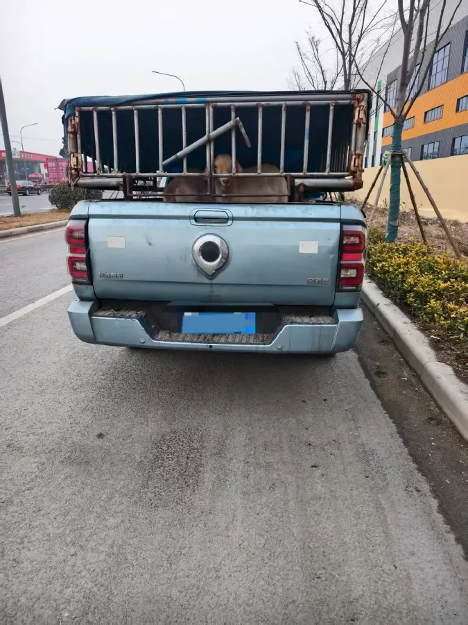 2022 Great Wall Poer King Kong 2.0T 150HP L4 6MT,autocango,china used car exporter,china ev exporter,chinese used car exporter,chinese used ev exporter