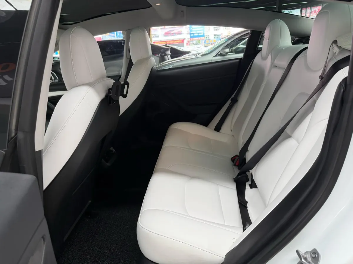 2022 Tesla Model 3 BEV 60KWH,autocango,china used car exporter,china ev exporter,chinese used car exporter,chinese used ev exporter