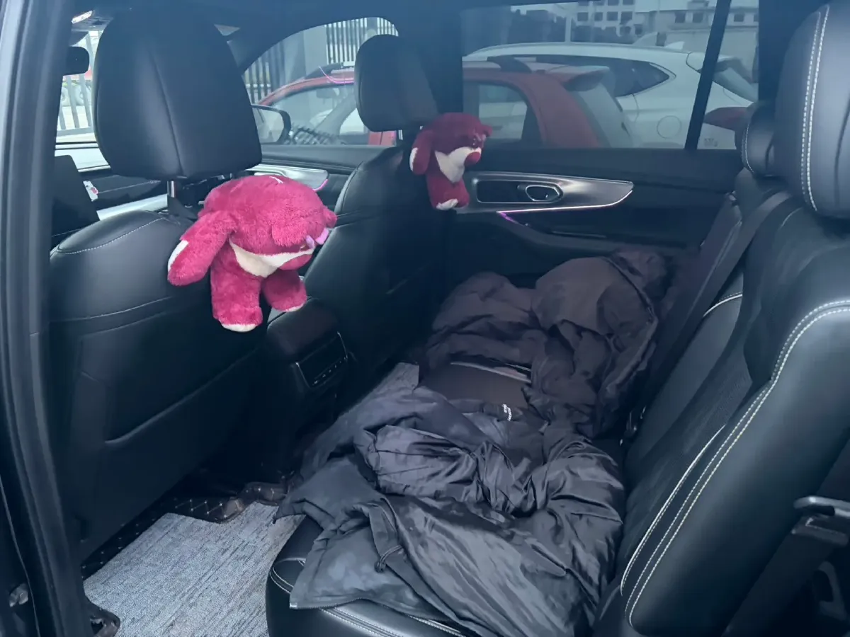 2022 GAC Trumpchi GS8 2.0T 252HP L4 8AT,autocango,china used car exporter,china ev exporter,chinese used car exporter,chinese used ev exporter