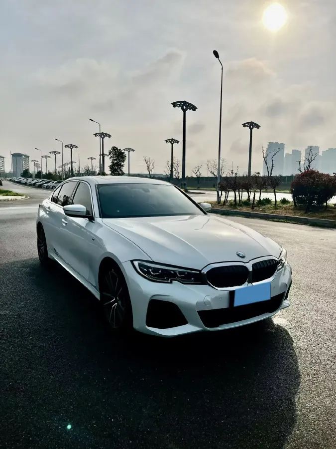 2021 BMW 3 Series 2.0T 156HP L4 8AT,autocango,china used car exporter,china ev exporter,chinese used car exporter,chinese used ev exporter