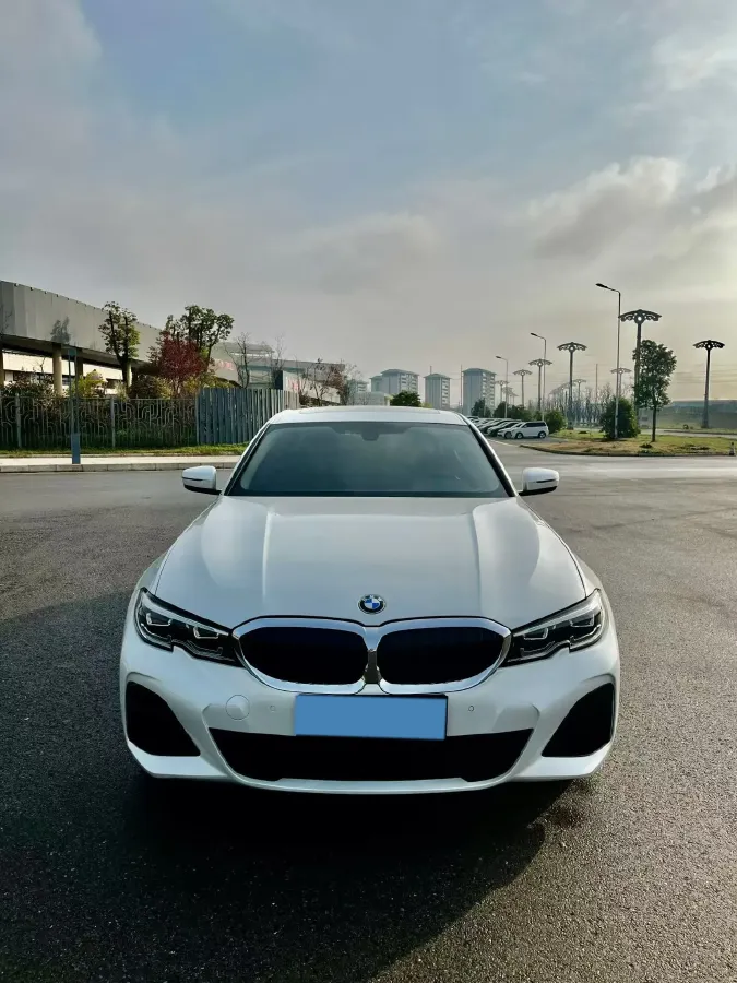 2021 BMW 3 Series 2.0T 156HP L4 8AT,autocango,china used car exporter,china ev exporter,chinese used car exporter,chinese used ev exporter