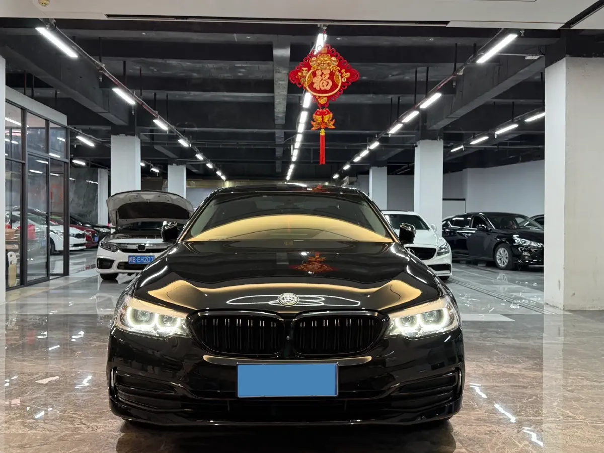 2020 BMW 5 Series 2.0T 184HP L4 8AT,autocango,china used car exporter,china ev exporter,chinese used car exporter,chinese used ev exporter
