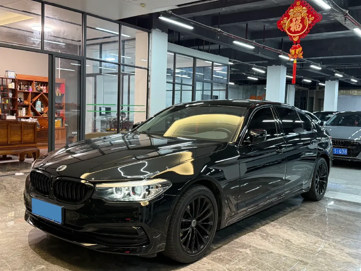 2020 BMW 5 Series 2.0T 184HP L4 8AT,autocango,china used car exporter,china ev exporter,chinese used car exporter,chinese used ev exporter