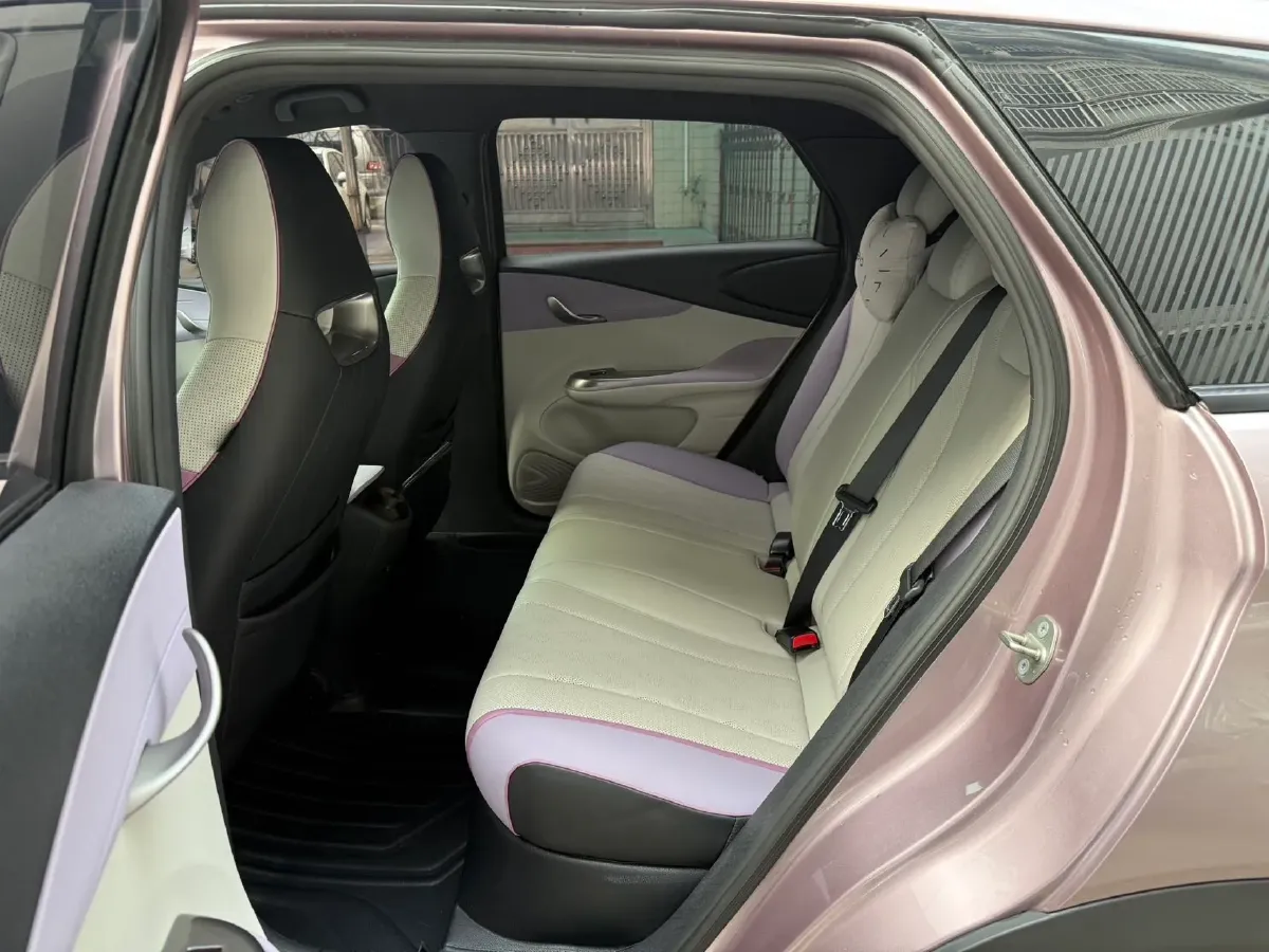 2023 BYD Dolphin BEV 44.928KWH,autocango,china used car exporter,china ev exporter,chinese used car exporter,chinese used ev exporter