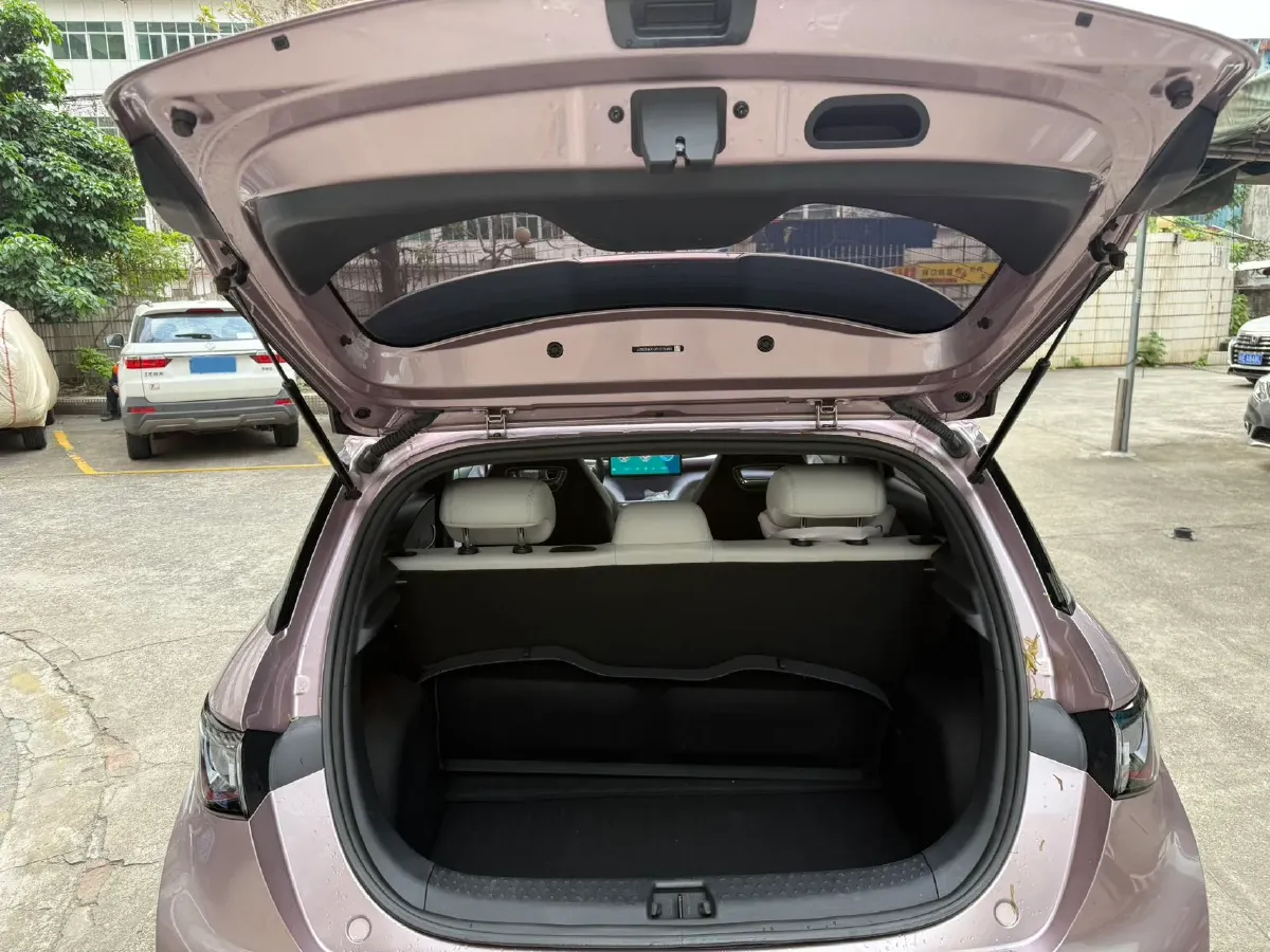 2023 BYD Dolphin BEV 44.928KWH,autocango,china used car exporter,china ev exporter,chinese used car exporter,chinese used ev exporter