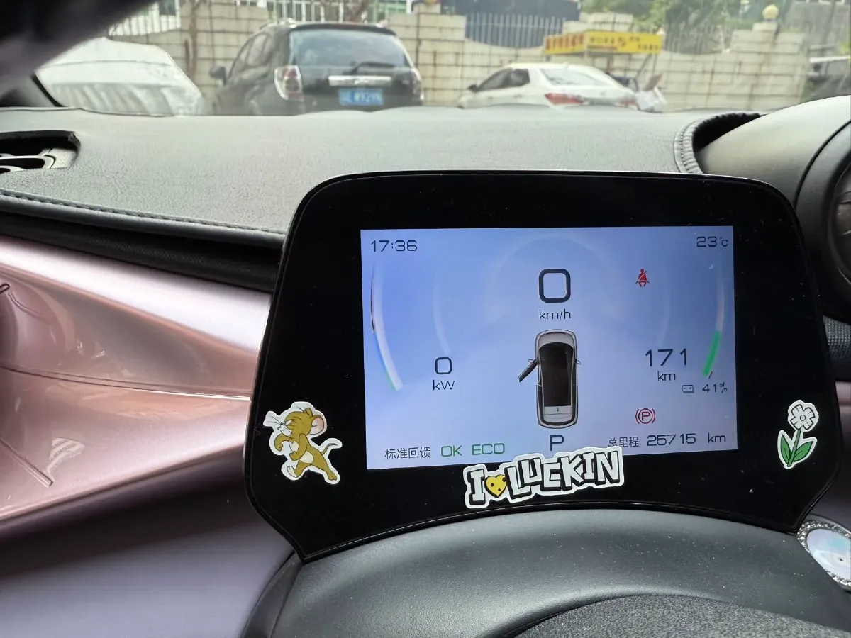 2023 BYD Dolphin BEV 44.928KWH,autocango,china used car exporter,china ev exporter,chinese used car exporter,chinese used ev exporter