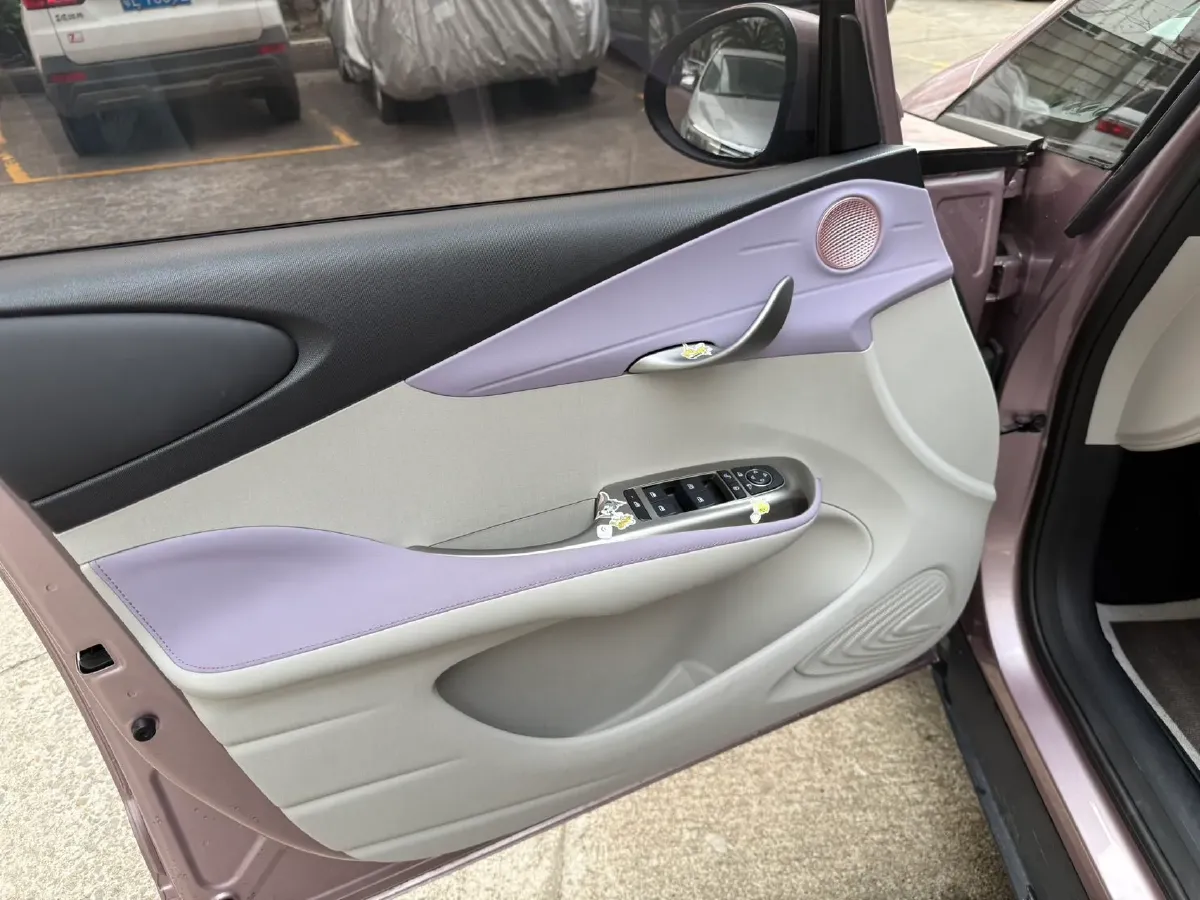 2023 BYD Dolphin BEV 44.928KWH,autocango,china used car exporter,china ev exporter,chinese used car exporter,chinese used ev exporter