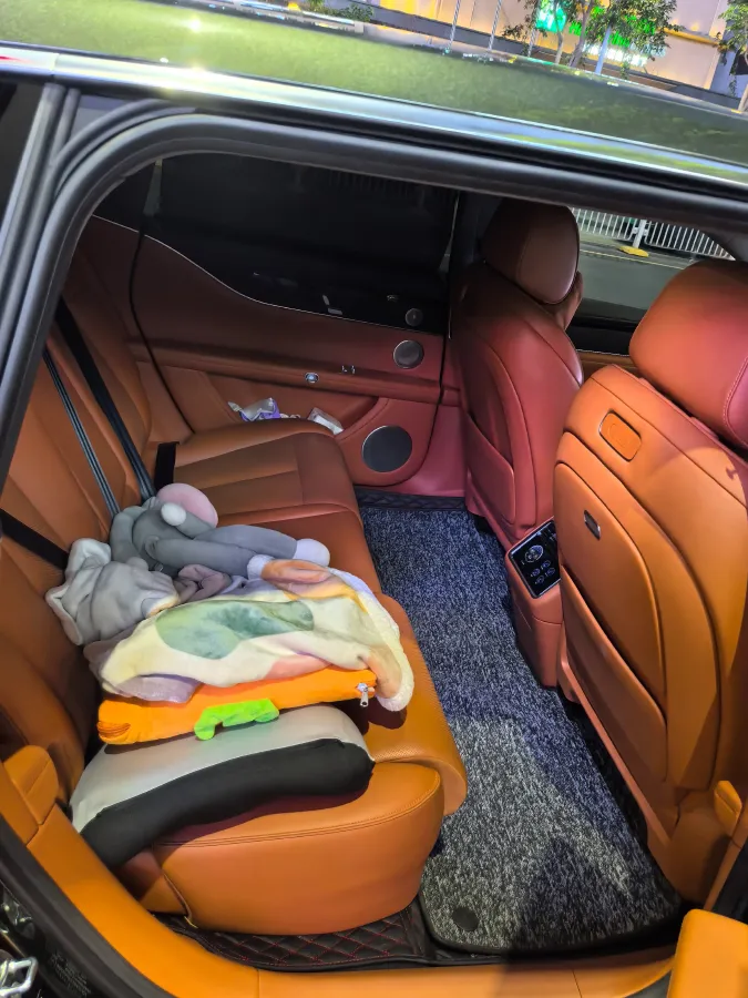 2025 HIMA Stelato S9T BEV,autocango,china used car exporter,china ev exporter,chinese used car exporter,chinese used ev exporter