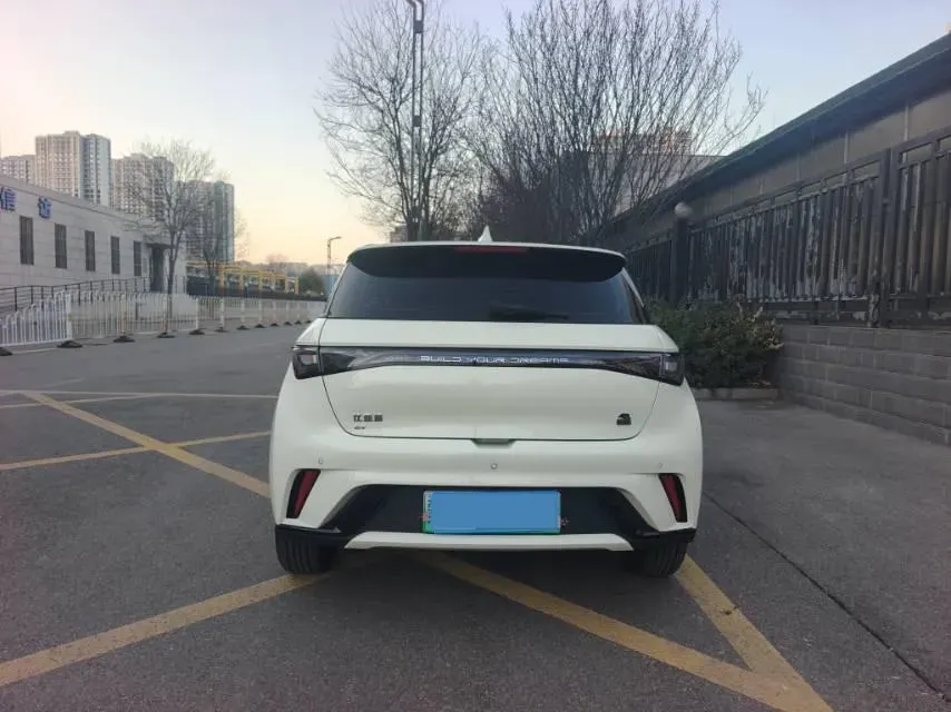 2023 BYD Dolphin BEV 44.928KWH,autocango,china used car exporter,china ev exporter,chinese used car exporter,chinese used ev exporter