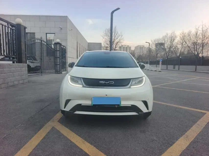 2023 BYD Dolphin BEV 44.928KWH,autocango,china used car exporter,china ev exporter,chinese used car exporter,chinese used ev exporter