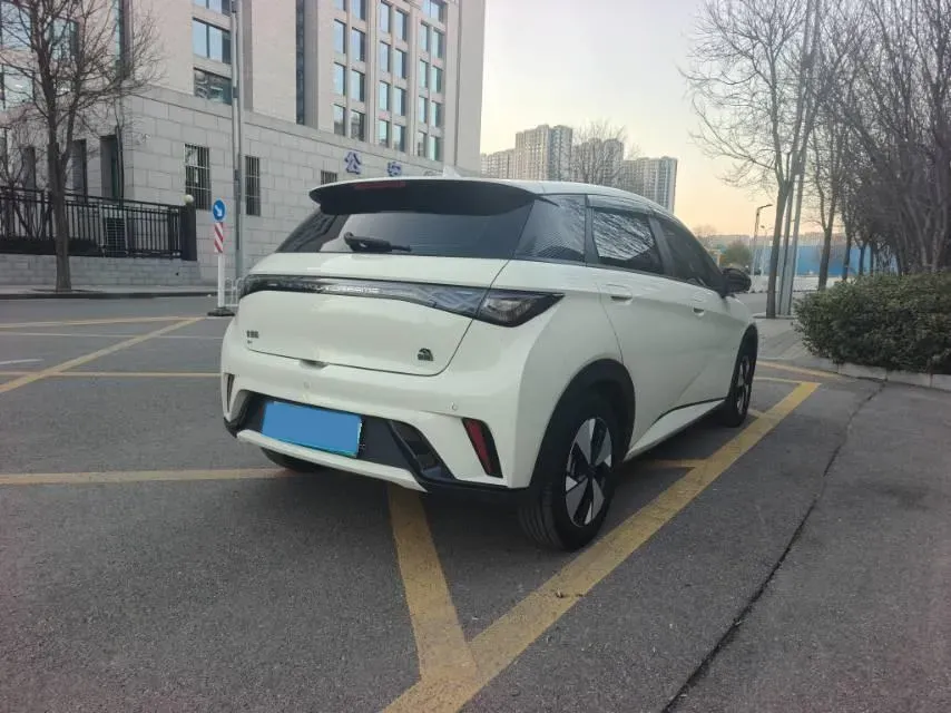 2023 BYD Dolphin BEV 44.928KWH,autocango,china used car exporter,china ev exporter,chinese used car exporter,chinese used ev exporter
