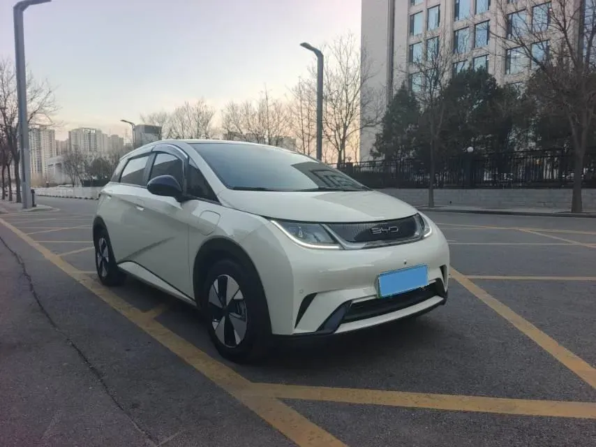 2023 BYD Dolphin BEV 44.928KWH,autocango,china used car exporter,china ev exporter,chinese used car exporter,chinese used ev exporter