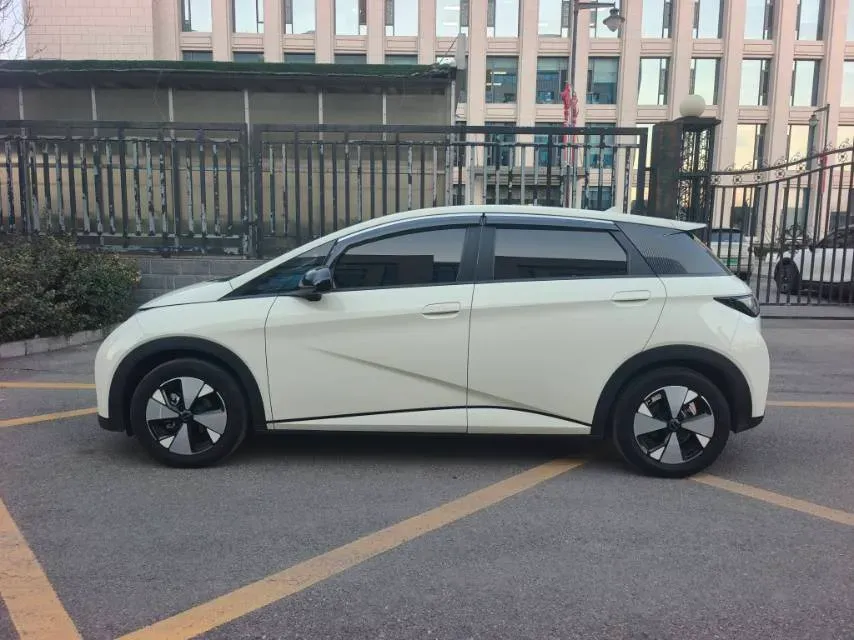 2023 BYD Dolphin BEV 44.928KWH,autocango,china used car exporter,china ev exporter,chinese used car exporter,chinese used ev exporter