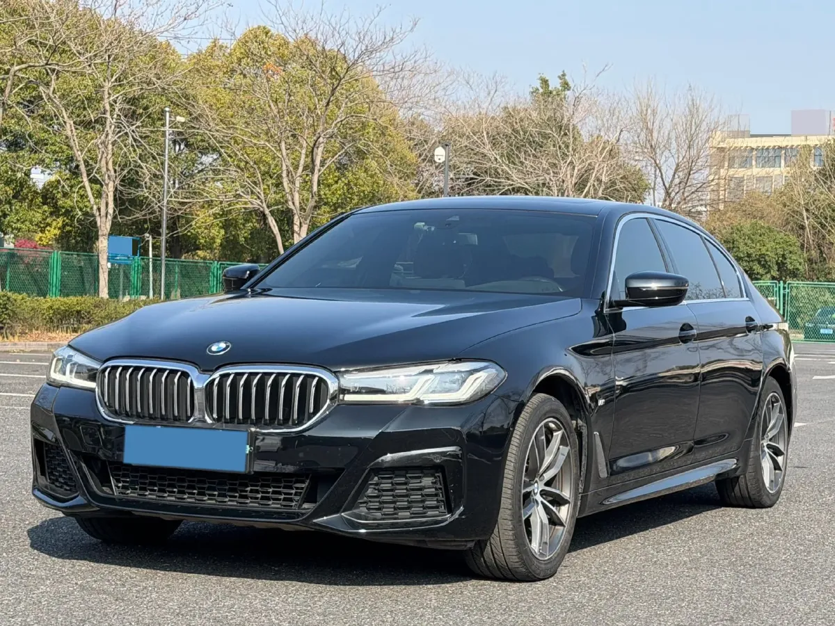 2021 BMW 5 Series 2.0T 184HP L4 8AT,autocango,china used car exporter,china ev exporter,chinese used car exporter,chinese used ev exporter