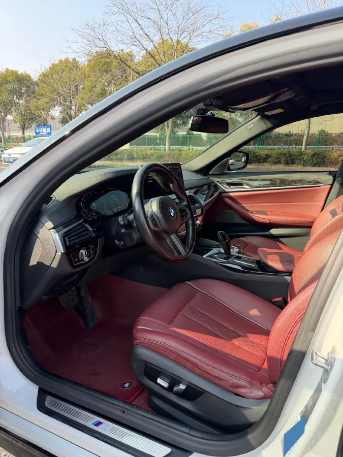 2021 BMW 5 Series 2.0T 184HP L4 8AT,autocango,china used car exporter,china ev exporter,chinese used car exporter,chinese used ev exporter