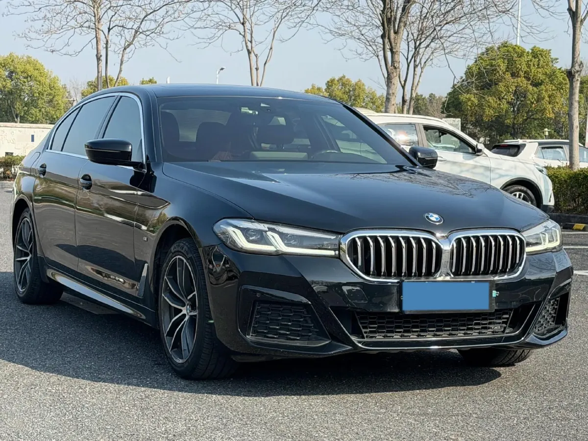 2021 BMW 5 Series 2.0T 184HP L4 8AT,autocango,china used car exporter,china ev exporter,chinese used car exporter,chinese used ev exporter