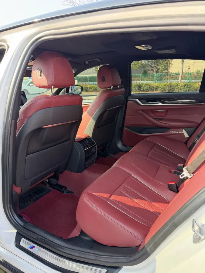 2021 BMW 5 Series 2.0T 184HP L4 8AT,autocango,china used car exporter,china ev exporter,chinese used car exporter,chinese used ev exporter