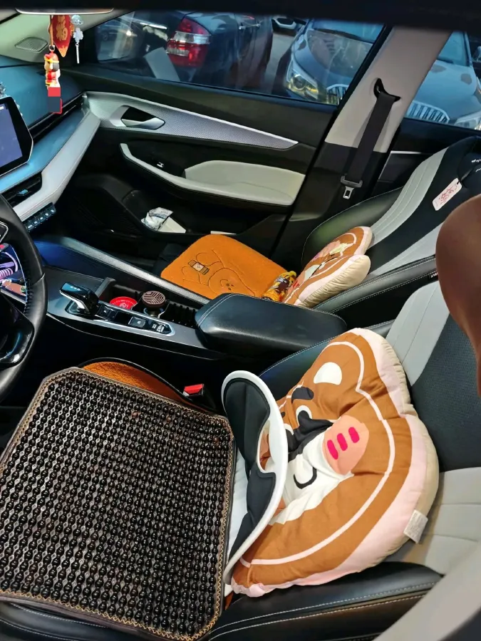 2024 Geely Binray 1.5T 181HP L4 7DCT,autocango,china used car exporter,china ev exporter,chinese used car exporter,chinese used ev exporter