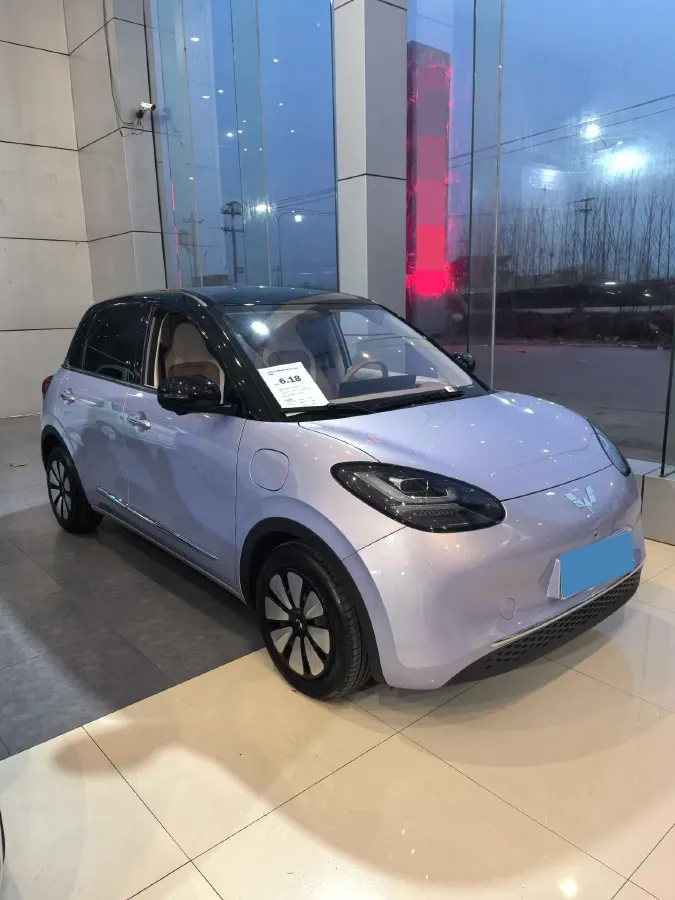 2025 WuLing BinGuo BEV,autocango,china used car exporter,china ev exporter,chinese used car exporter,chinese used ev exporter