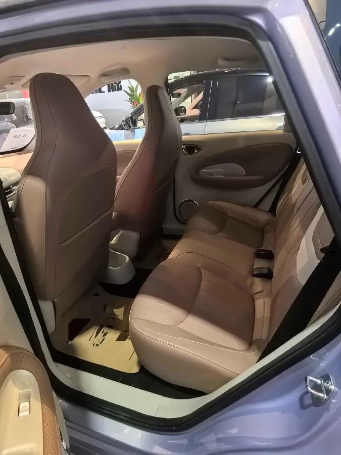 2025 WuLing BinGuo BEV,autocango,china used car exporter,china ev exporter,chinese used car exporter,chinese used ev exporter