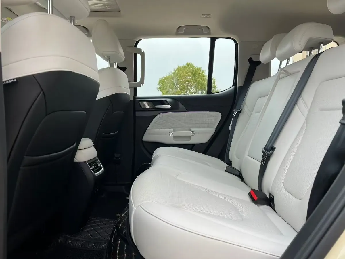 2025 Tank 300 2.0T 252HP L4 9AT PHEV,autocango,china used car exporter,china ev exporter,chinese used car exporter,chinese used ev exporter