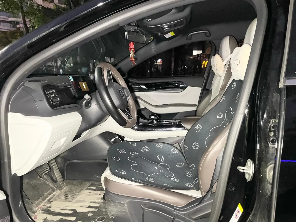 2023 BYD Qin Plus 1.5L 110HP L4 E-CVT PHEV 8.32KWH,autocango,china used car exporter,china ev exporter,chinese used car exporter,chinese used ev exporter