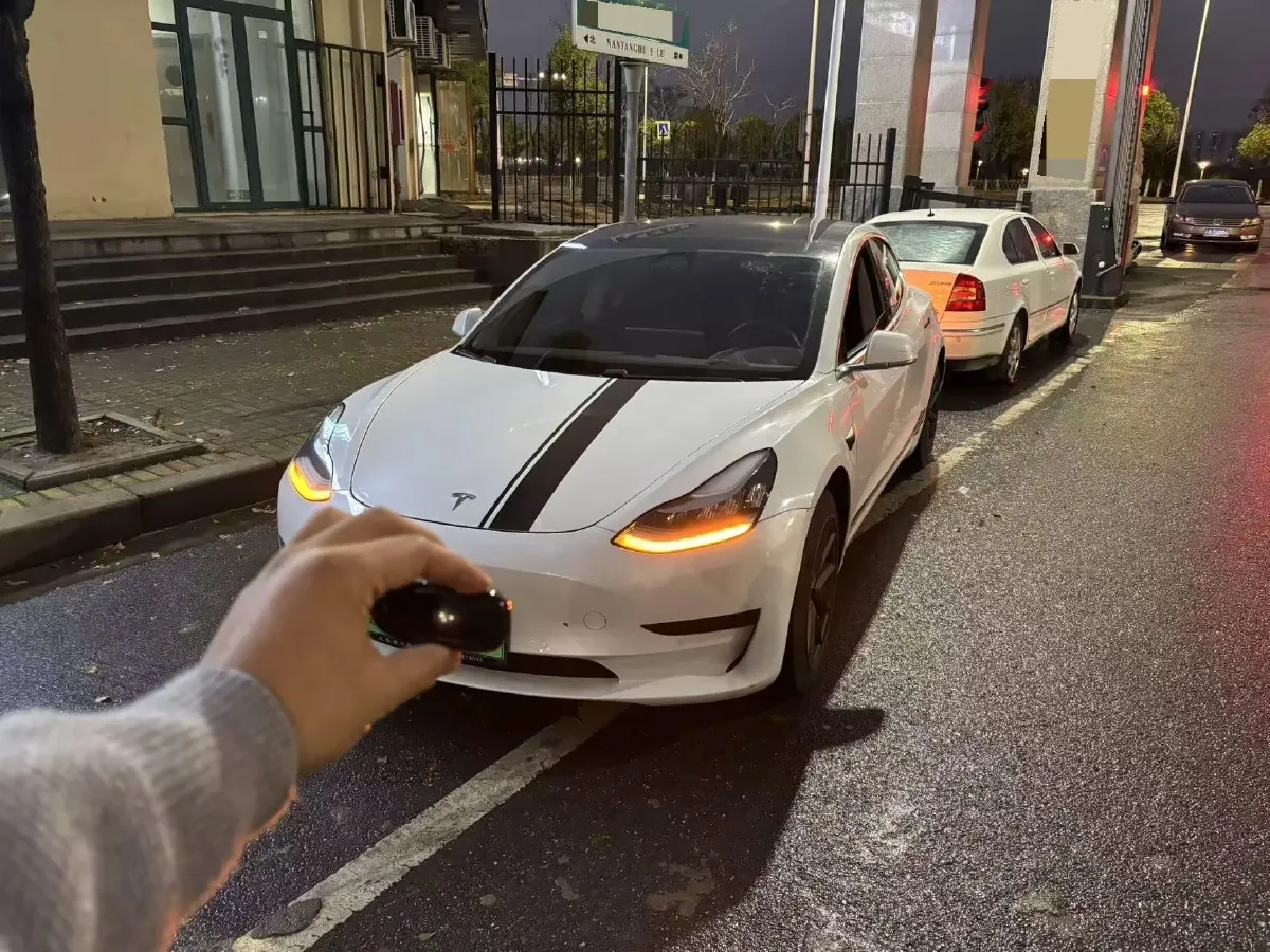 2020 Tesla Model 3 BEV 52KWH,autocango,china used car exporter,china ev exporter,chinese used car exporter,chinese used ev exporter