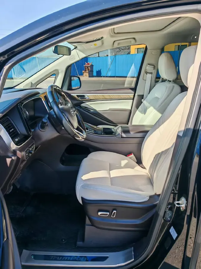 2020 GAC Trumpchi M8 2.0T 252HP L4 8AT,autocango,china used car exporter,china ev exporter,chinese used car exporter,chinese used ev exporter