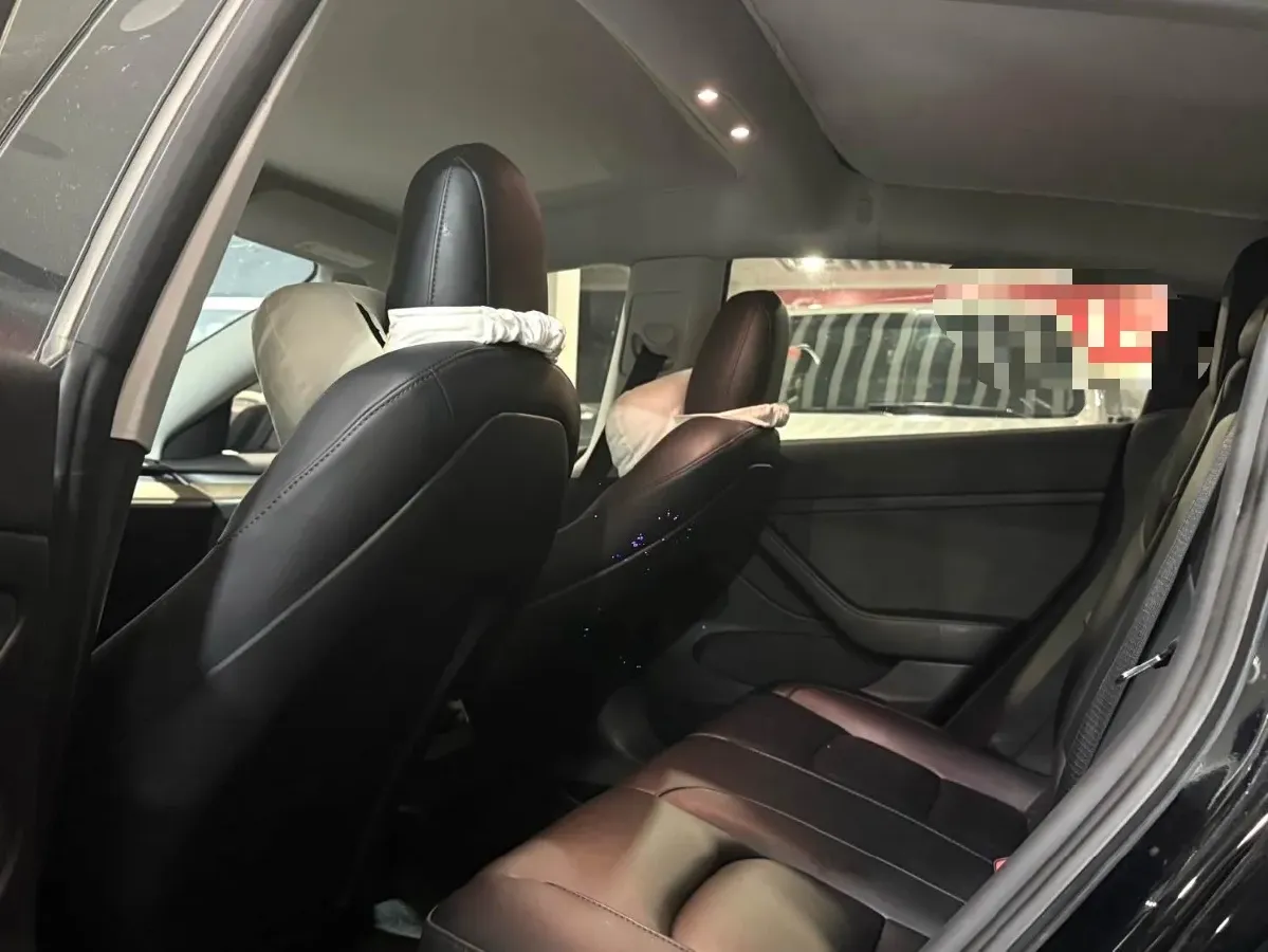 2021 Tesla Model 3 BEV 55KWH,autocango,china used car exporter,china ev exporter,chinese used car exporter,chinese used ev exporter
