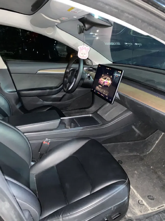 2022 Tesla Model 3 BEV 60KWH,autocango,china used car exporter,china ev exporter,chinese used car exporter,chinese used ev exporter