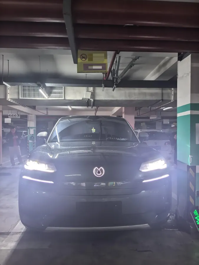 2026 Denza DenzaN9 2.0T 207HP L4 E-CVT PHEV,autocango,china used car exporter,china ev exporter,chinese used car exporter,chinese used ev exporter