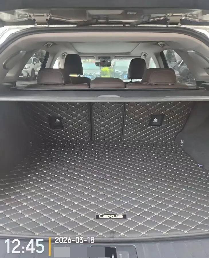 2021 Lexus RX 2.0T 231HP L4 6AT,autocango,china used car exporter,china ev exporter,chinese used car exporter,chinese used ev exporter