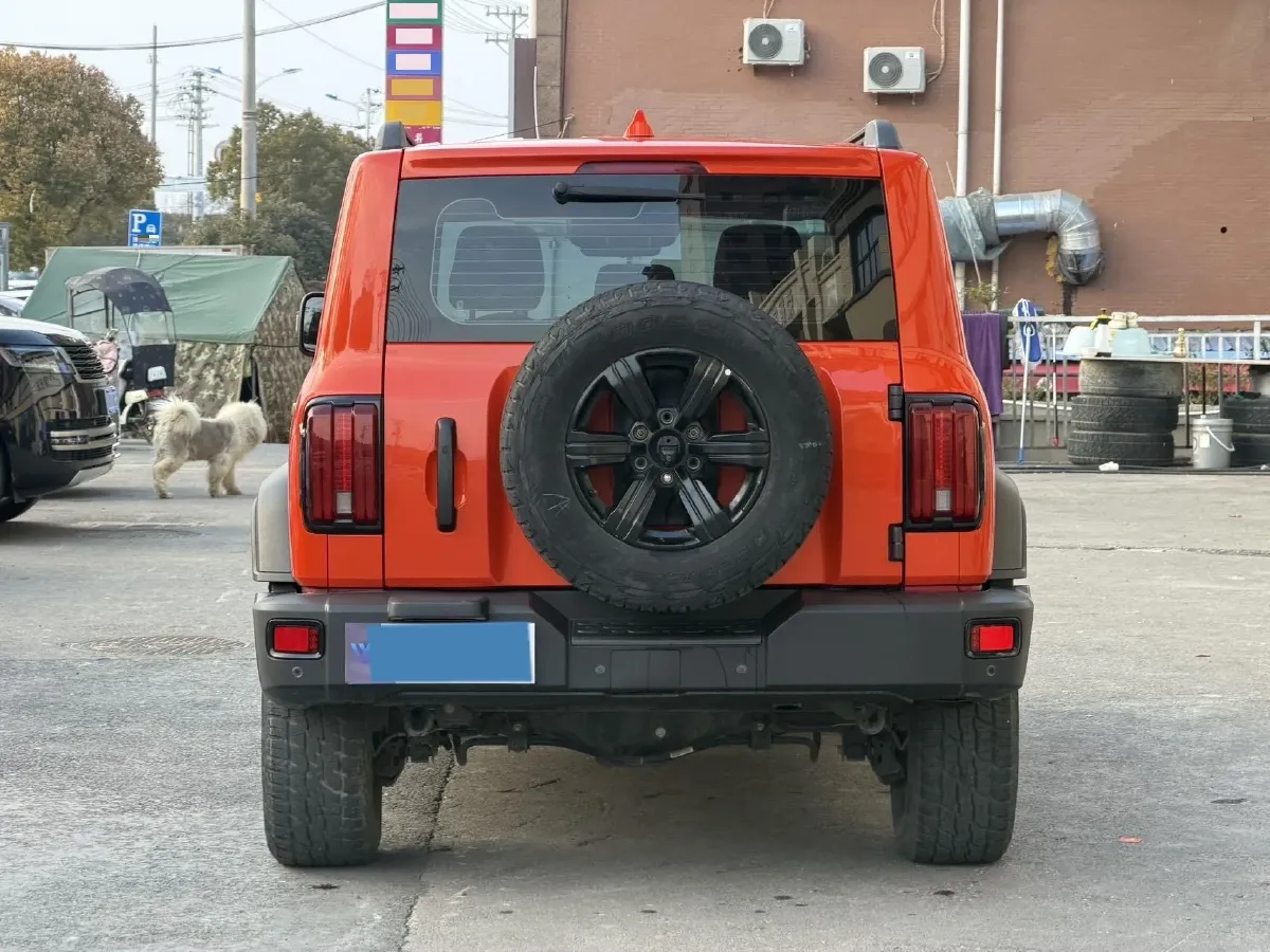 2021 Tank 300 2.0T 227HP L4 8AT,autocango,china used car exporter,china ev exporter,chinese used car exporter,chinese used ev exporter