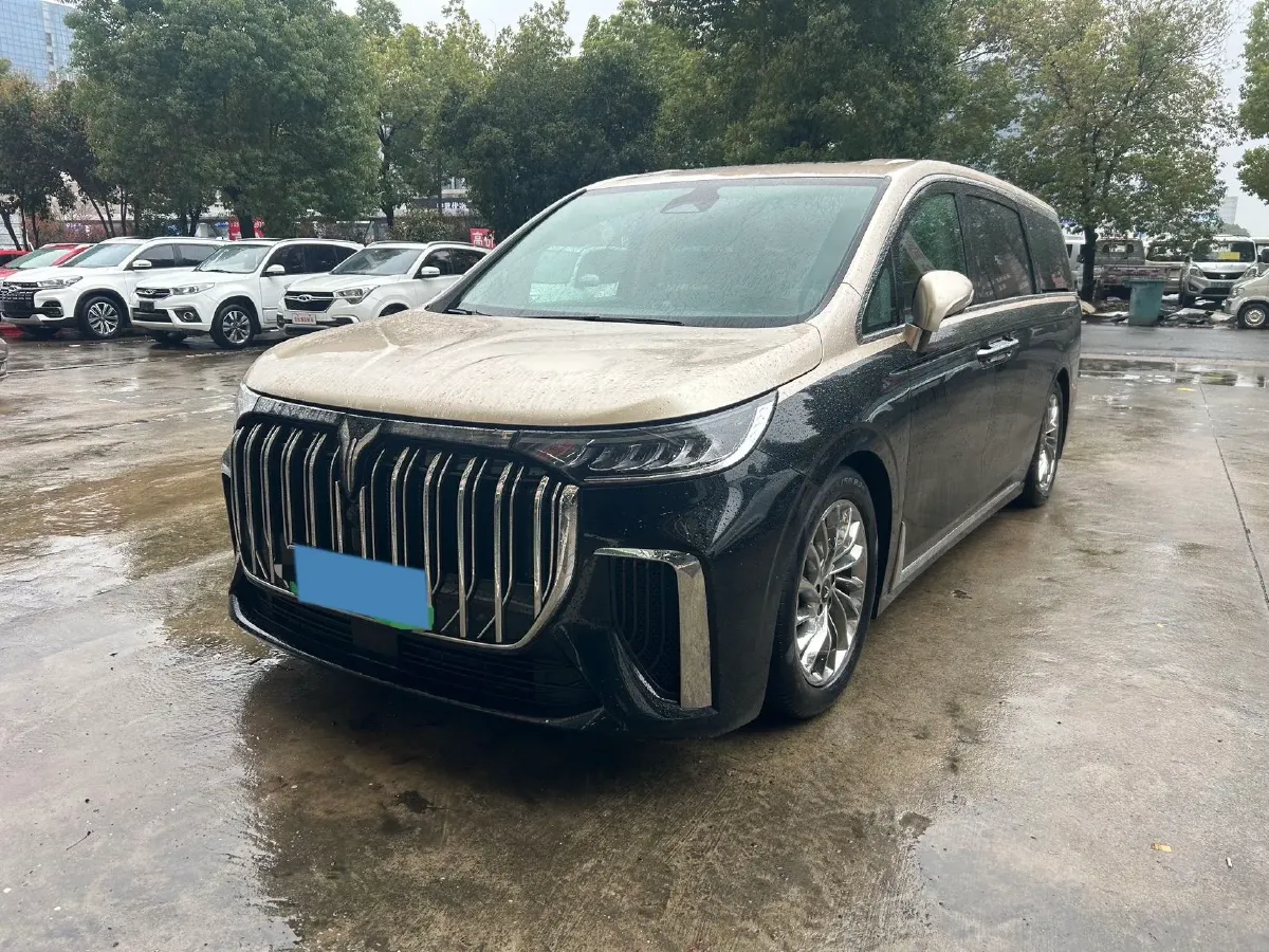 2024 Voyah Dream 1.5T 150HP L4 PHEV 43KWH,autocango,china used car exporter,china ev exporter,chinese used car exporter,chinese used ev exporter