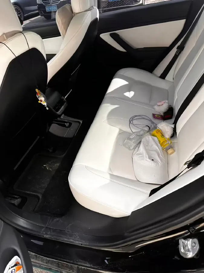 2020 Tesla Model 3 BEV 52KWH,autocango,china used car exporter,china ev exporter,chinese used car exporter,chinese used ev exporter